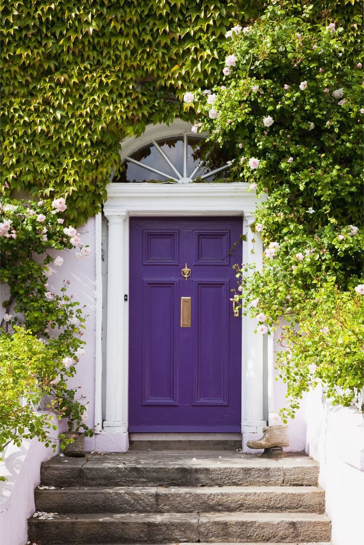 content violet door
